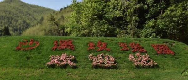 沙溪玫瑰庄园