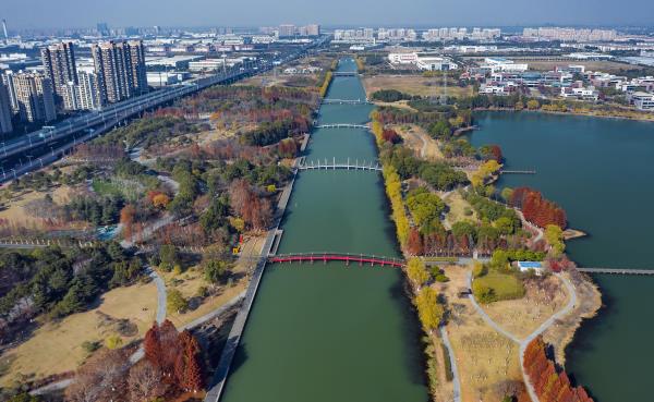 东沙湖生态公园