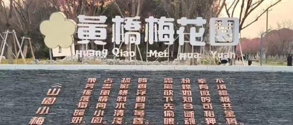 黄桥梅花园
