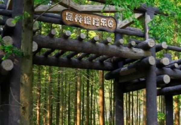 黄海森林公园探险乐园