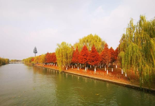 阳澄湖水上公园