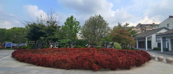 桂花公园