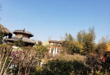 德百温泉度假村25