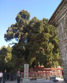 四门塔18