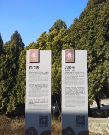 四门塔15