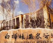 白桦林温泉谷26