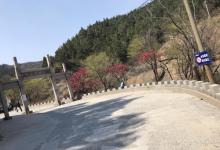 鹤伴山25