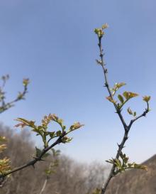 鹤伴山23