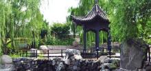 樱花山风景区28