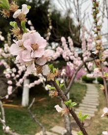 泉城公园8