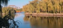 董子园景区27