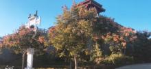 董子园景区29