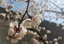 宣化古城4
