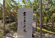 宣化古城11