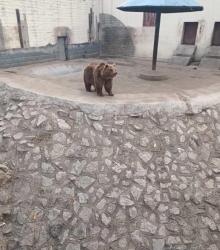 淄博动物园4