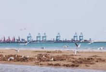 秦皇岛海港区7
