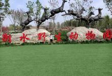 衡水野生动物园26