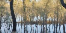 百里黄河风景区5