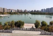 齐盛湖公园4