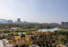 齐盛湖公园5