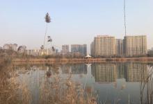 齐盛湖公园22