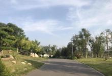 齐盛湖公园19