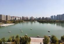 齐盛湖公园6