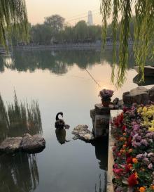 百花洲16