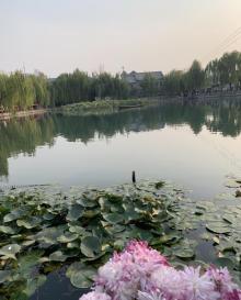 百花洲21