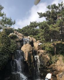 燕塞湖鸟语林20