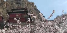 鸡鸣山旅游风景区8