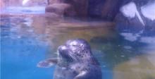 滨州海底世界8