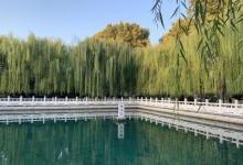 珍珠泉24