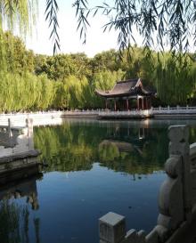 珍珠泉19