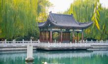 珍珠泉20