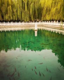 珍珠泉28