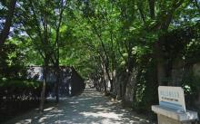 满城汉墓29