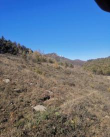 驼梁风景区25