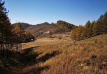 驼梁风景区12