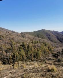 驼梁风景区26