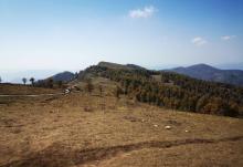 驼梁风景区19