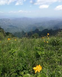 驼梁风景区23