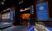贝壳王国10
