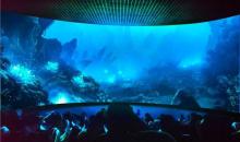 圣蓝海洋公园26