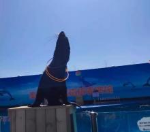 新澳海底世界7