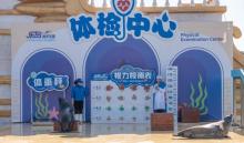 乐岛海洋王国4