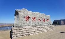 黄河口生态旅游区22