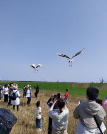 黄河口生态旅游区17