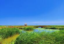 黄河口生态旅游区10