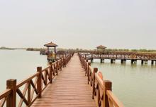 黄河口生态旅游区21
